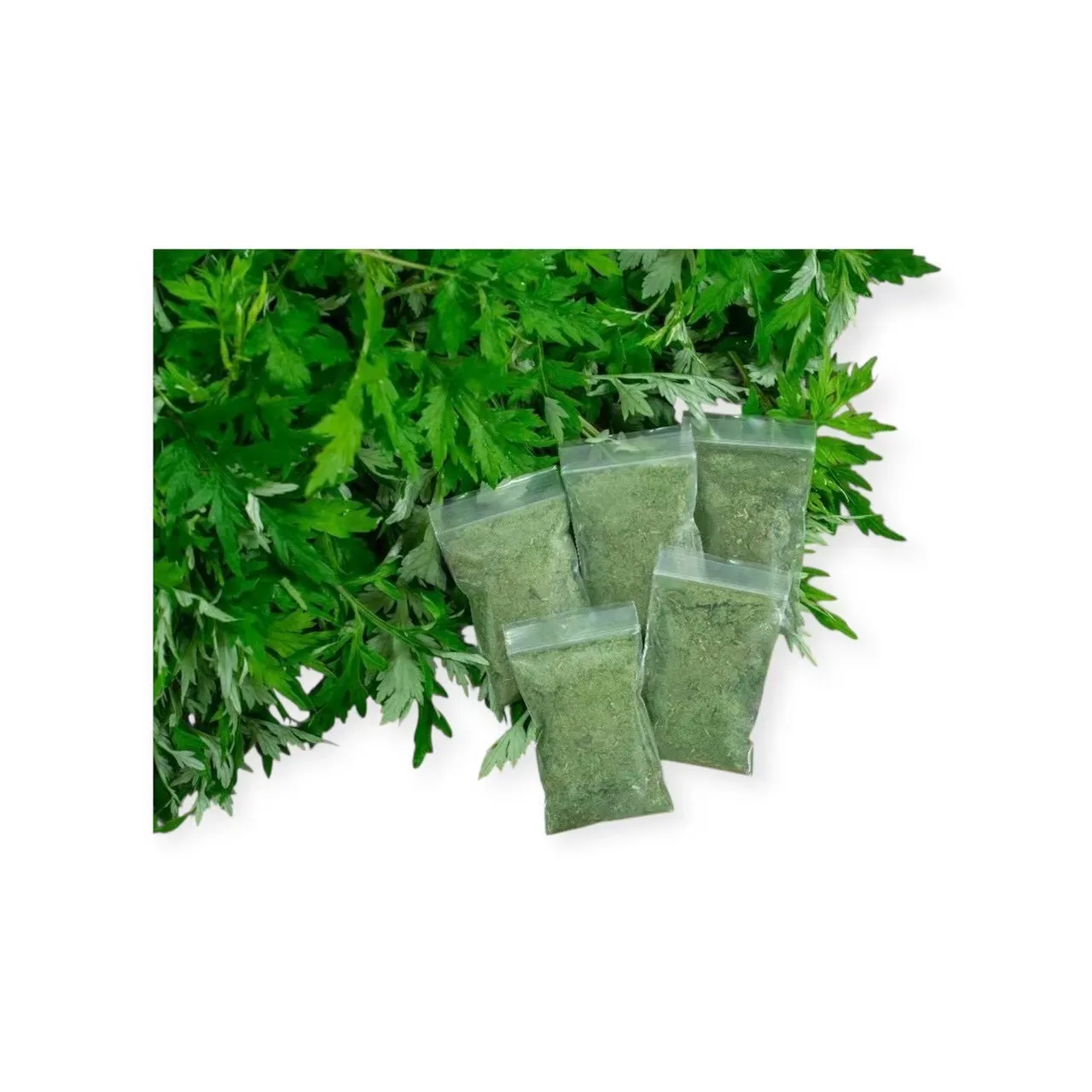 【大人気！！】よもぎ蒸し🌿